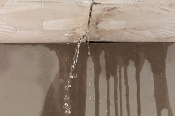 Professional Flood Damage Cleanup technician working in Lannon, WI